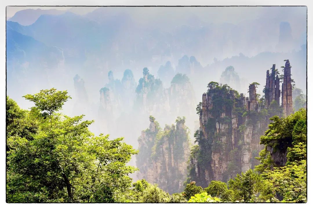 恩施富硒茶价格表湖北（湖北恩施茶叶价格表）-硒宝网