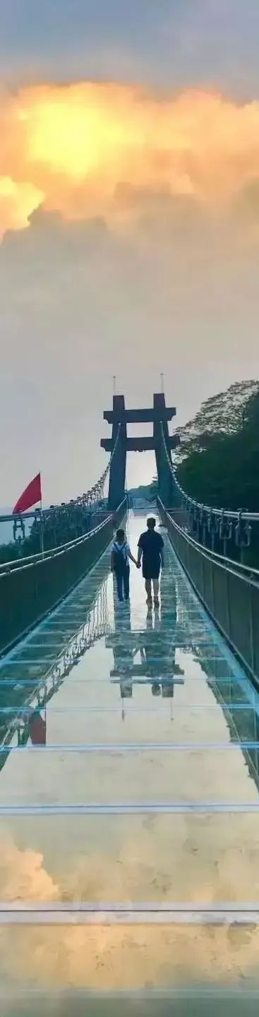 恩施富硒茶价格表湖北（湖北恩施茶叶价格表）-硒宝网