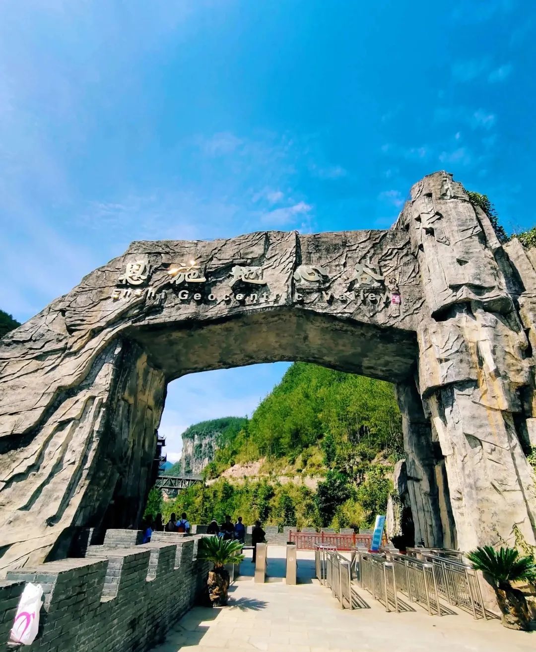 恩施富硒茶价格表湖北(恩施富硒茶21年新茶价格)-硒宝网