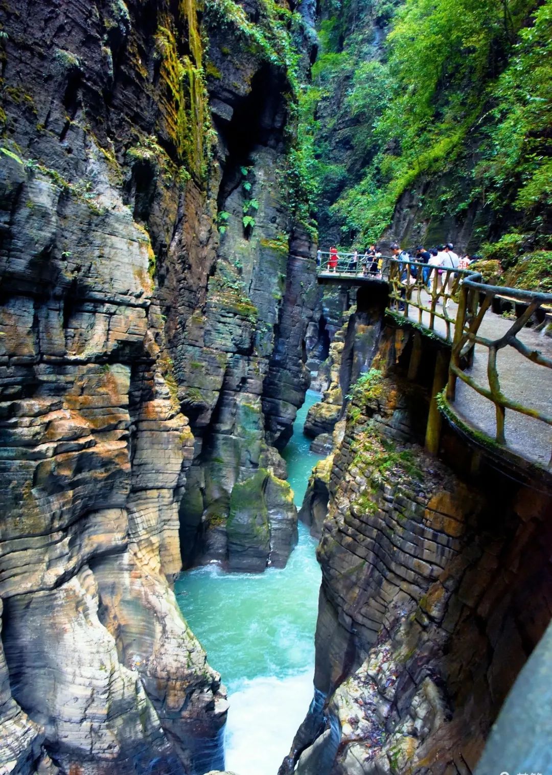 恩施富硒茶价格表湖北(恩施富硒茶21年新茶价格)-硒宝网