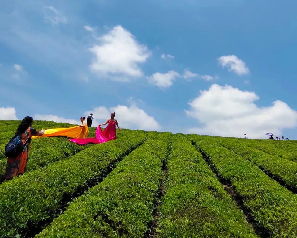恩施富硒茶价格表湖北(恩施富硒茶21年新茶价格)-硒宝网
