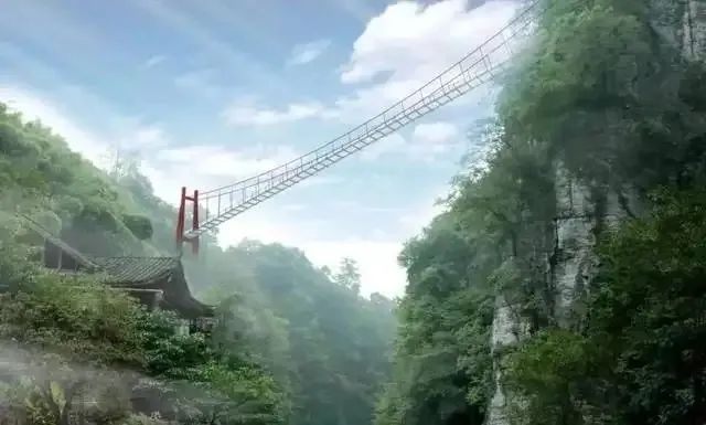 恩施富硒茶价格表湖北(恩施富硒茶21年新茶价格)-硒宝网