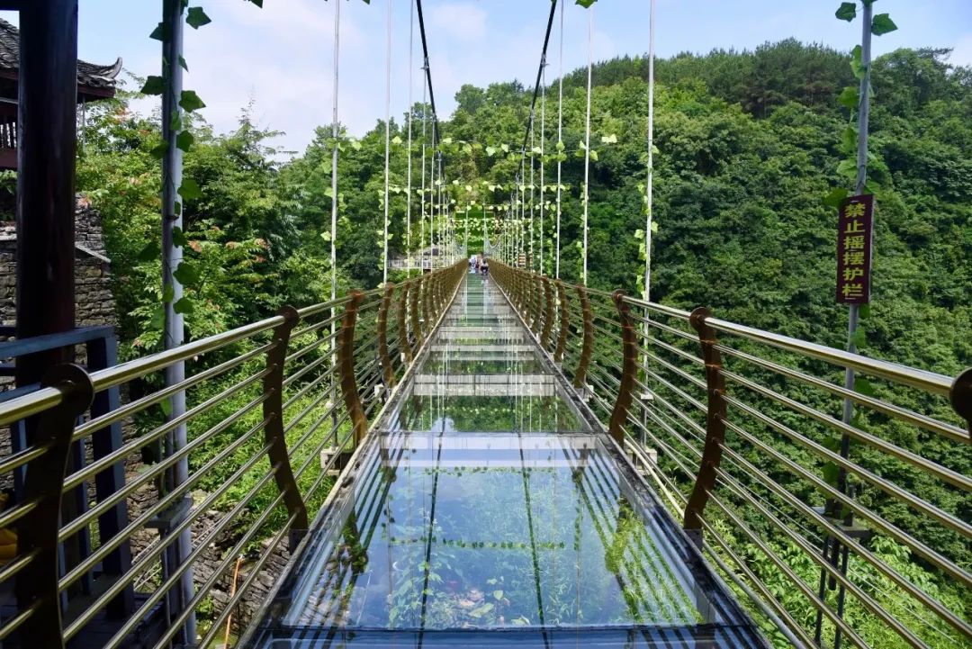 恩施富硒茶价格表湖北(恩施富硒茶21年新茶价格)-硒宝网