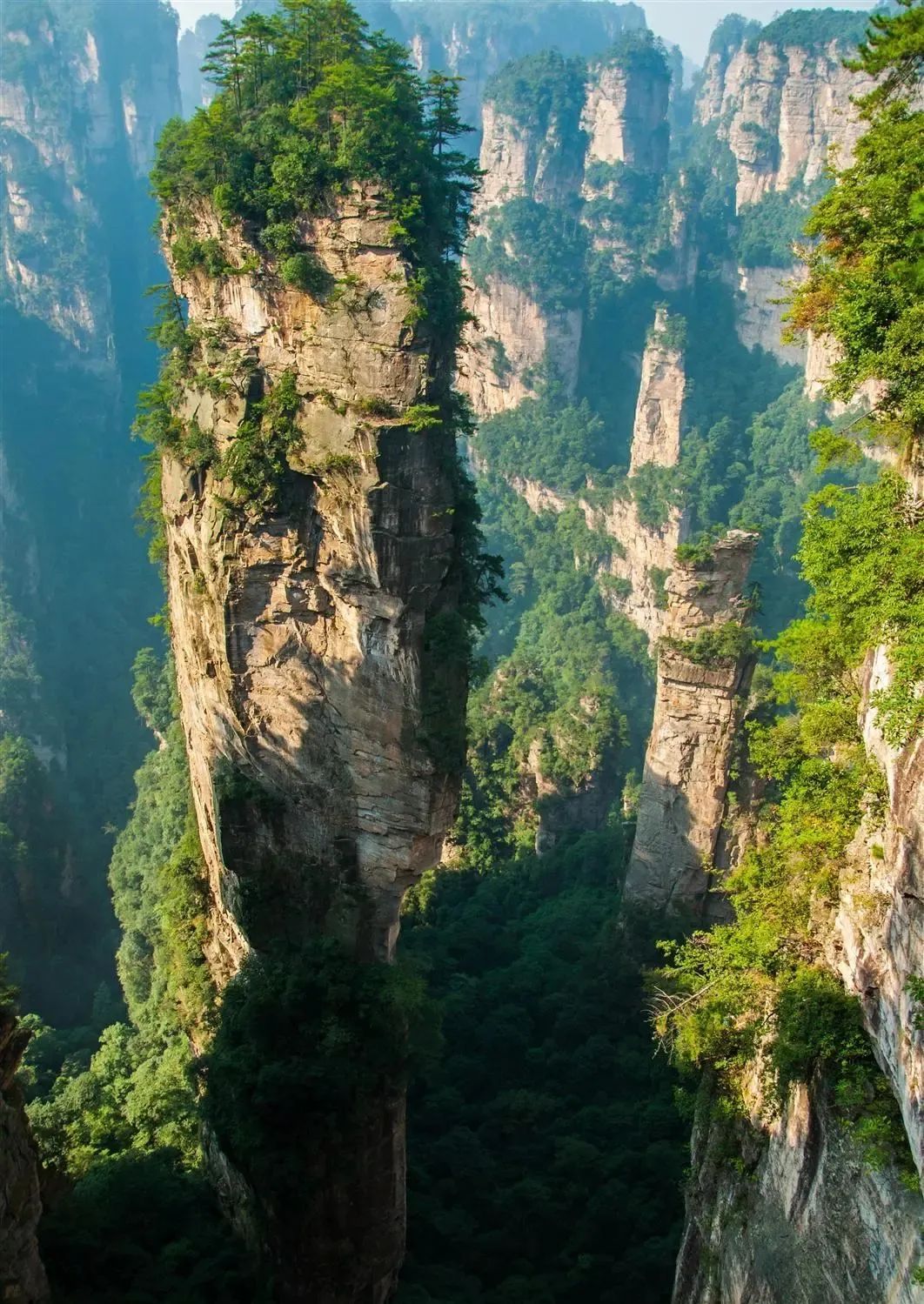 恩施富硒茶价格表湖北(恩施富硒茶21年新茶价格)-硒宝网