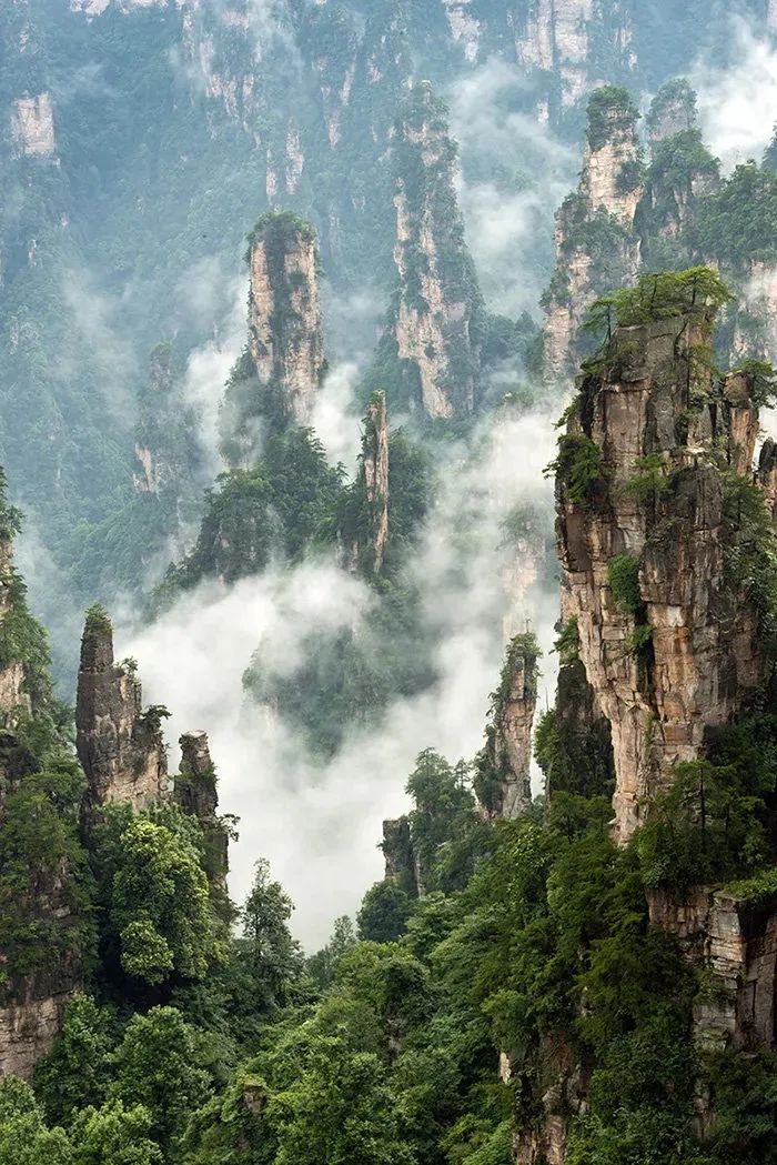 恩施富硒茶价格表湖北(恩施富硒茶21年新茶价格)-硒宝网