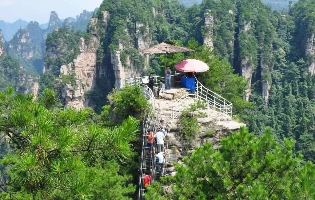 恩施富硒茶价格表湖北(恩施富硒茶21年新茶价格)-硒宝网