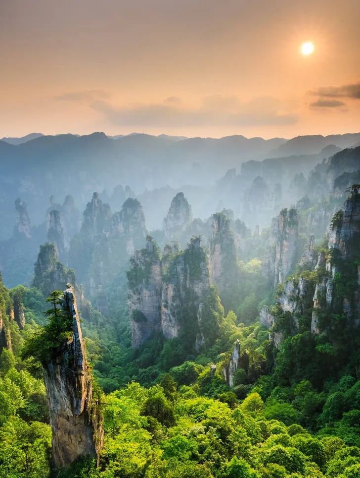 恩施富硒茶价格表湖北(恩施富硒茶21年新茶价格)-硒宝网