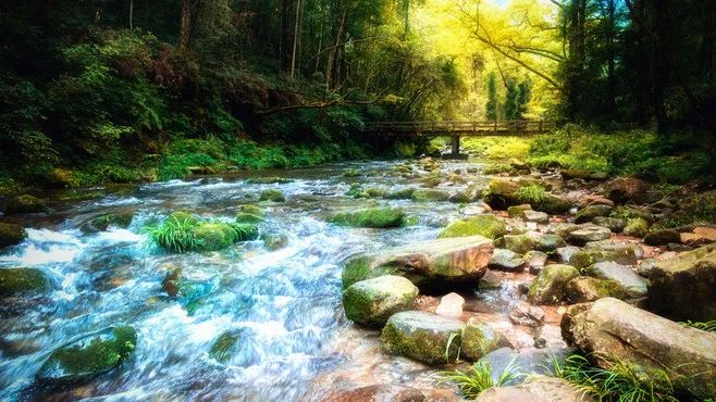 恩施富硒茶价格表湖北(恩施富硒茶21年新茶价格)-硒宝网