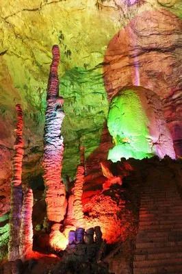 恩施富硒茶价格表湖北(恩施富硒茶21年新茶价格)-硒宝网