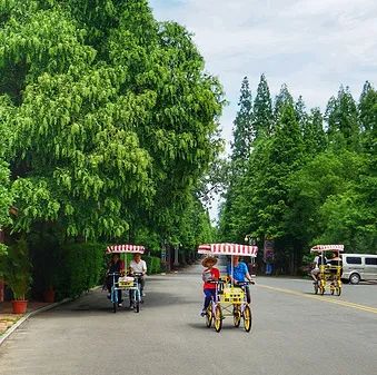 恩施富硒茶价格表湖北(恩施富硒茶21年新茶价格)-硒宝网