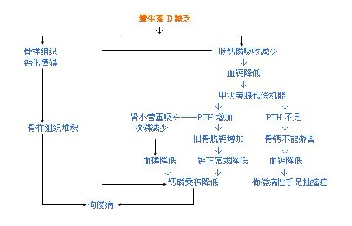 小孩子缺钙吃什么补钙好(小孩补钙会不会不长个)-硒宝网