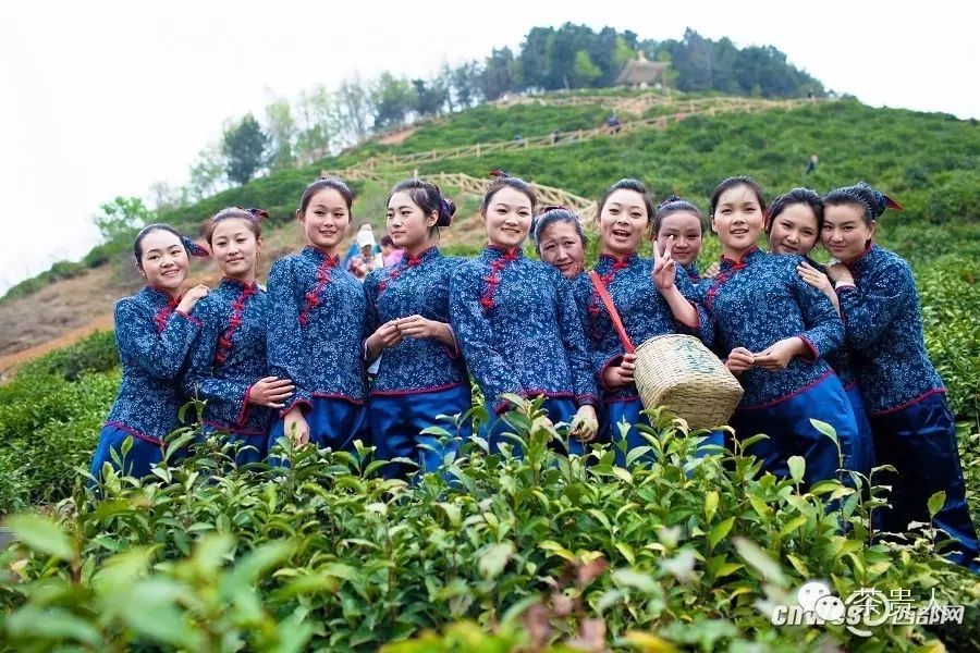 富硒茶如何去喝才最好（富硒的茶喝了有什么好处）-硒宝网