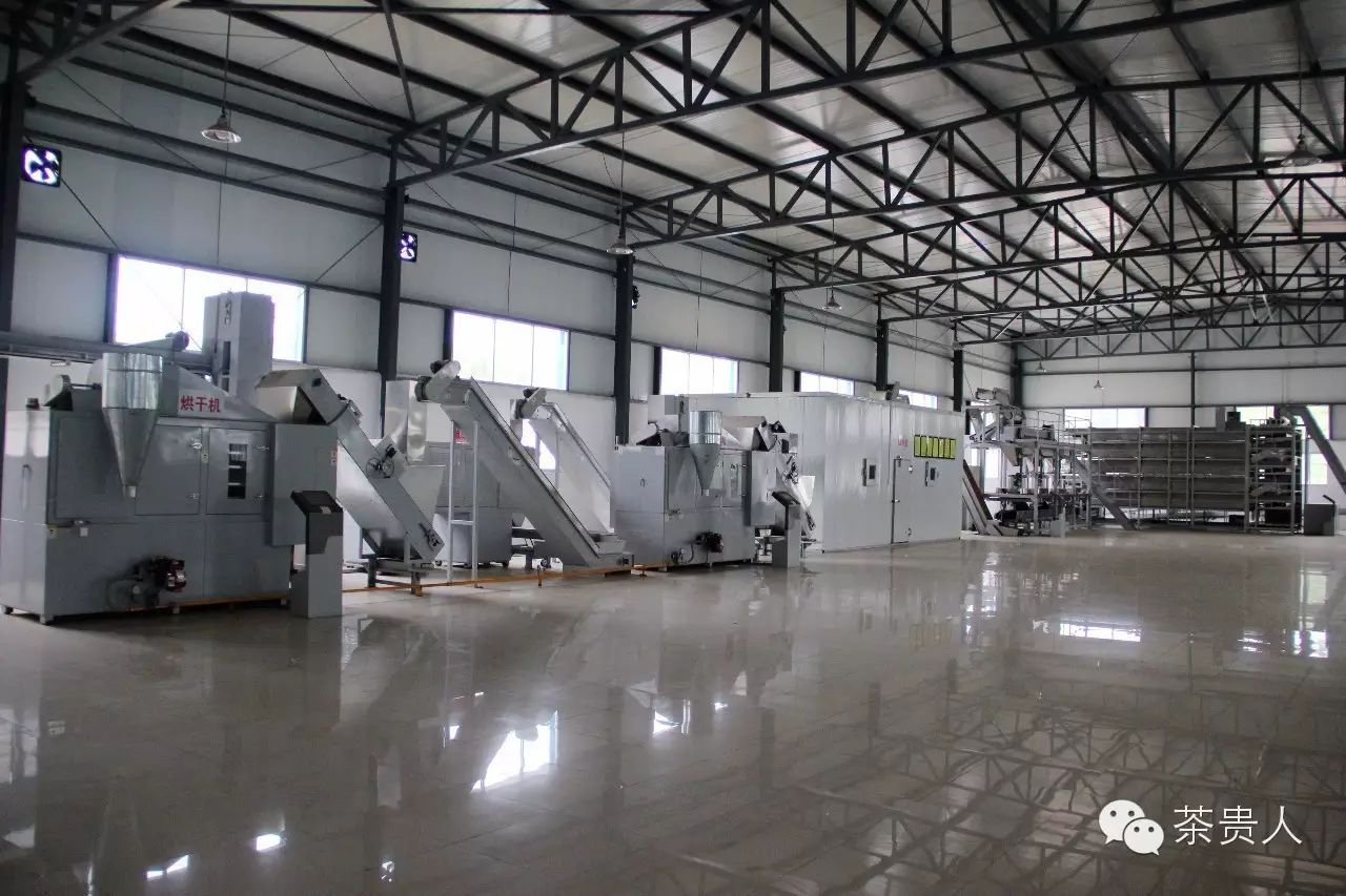 富硒茶如何去喝才最好（富硒的茶喝了有什么好处）-硒宝网