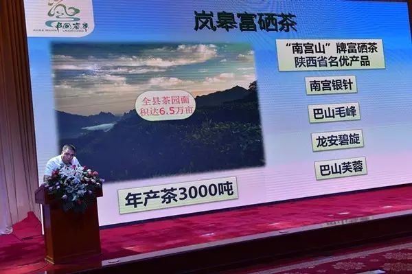 富硒茶能降血压血脂吗(血压能降茶血脂富硒吗)-硒宝网