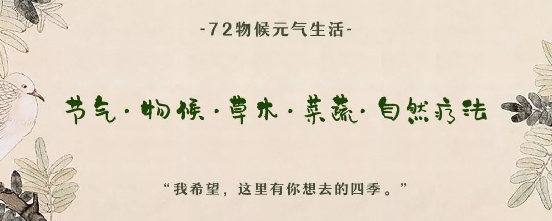 补钙吃什么(补钙吃什么钙片最好)-硒宝网