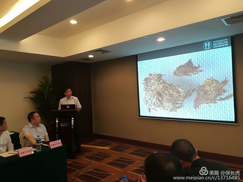 安康富硒茶发展史简述（安康富硒茶最古老的茶）-硒宝网