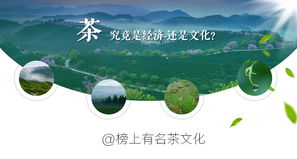 富硒绿茶和黄茶的区别(硒茶和绿茶哪个好)-硒宝网