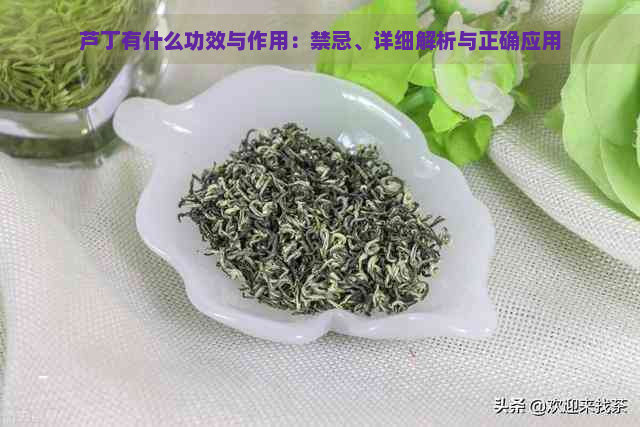 富硒芦丁茶的作用功效(富硒绿茶功效)-硒宝网