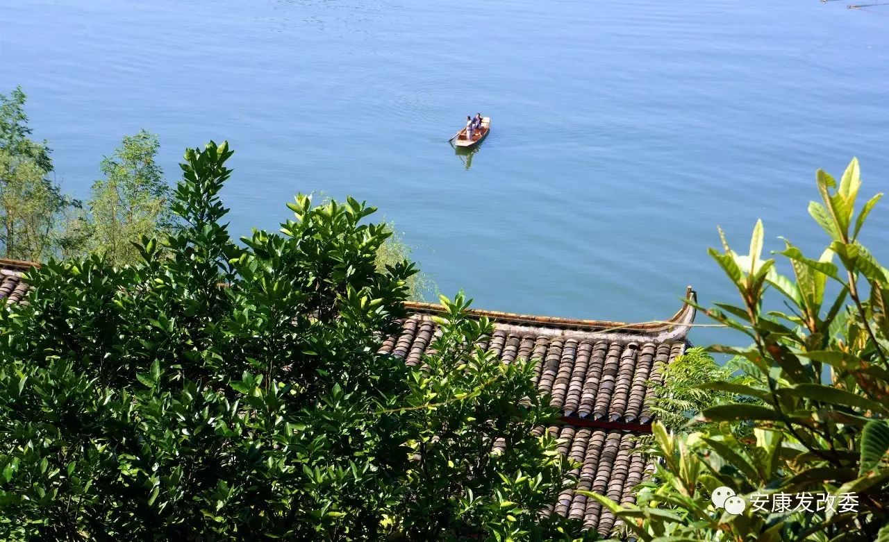 巴山天然富硒茶怎么样(巴山茶叶)-硒宝网