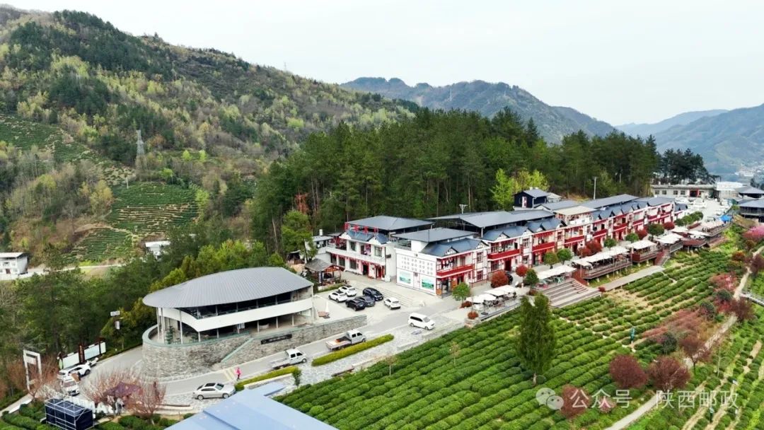 巴山天然富硒茶怎么样（巴东富硒神茶）-硒宝网