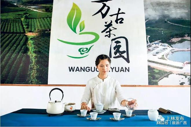仙寓山富硒野生茶产地(福建仙茶美公司的茶硒片)-硒宝网