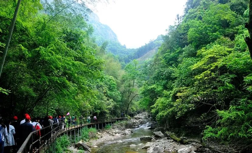 富硒茶什么人不能喝了（富硒茶的禁忌）-硒宝网