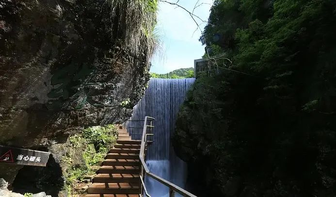 富硒茶什么人不能喝了（富硒茶的禁忌）-硒宝网