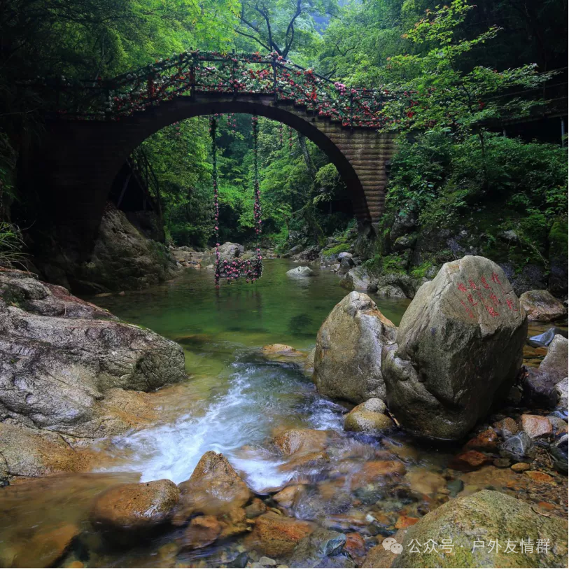富硒茶什么人不能喝了（富硒茶的禁忌）-硒宝网