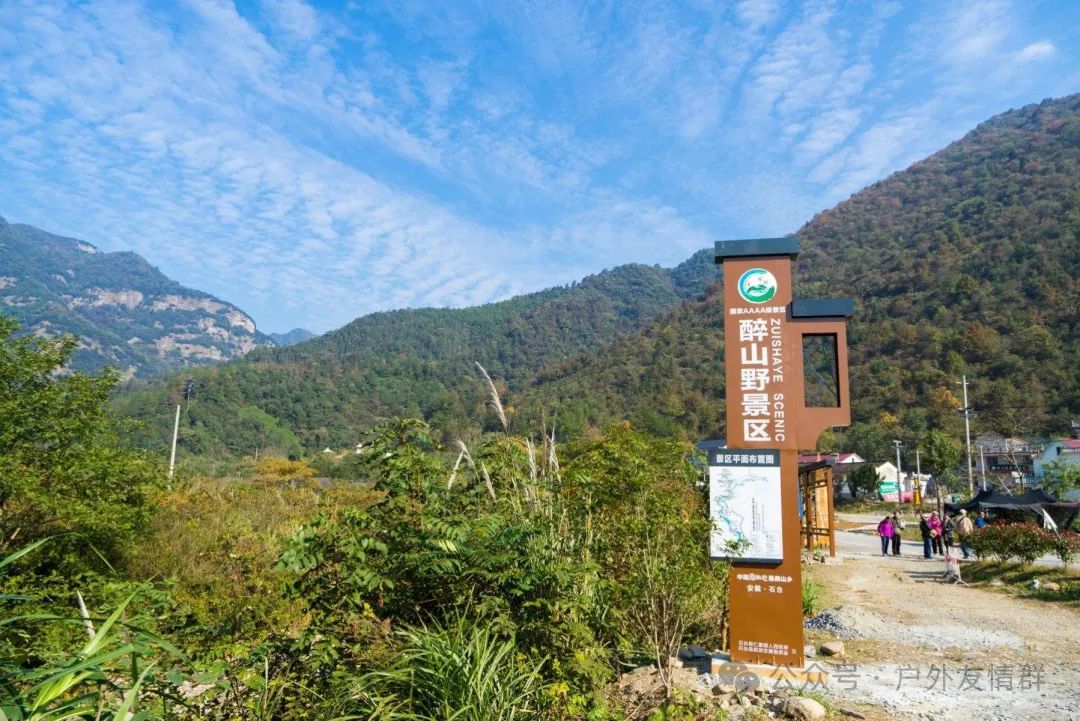 富硒茶什么人不能喝了（富硒茶的禁忌）-硒宝网