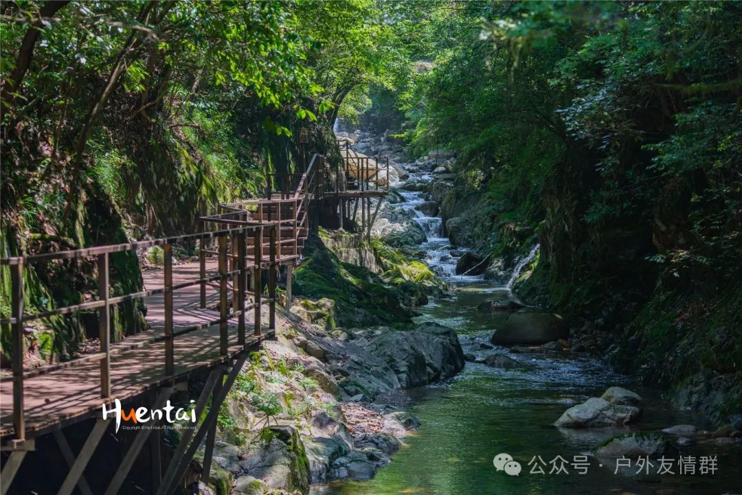 富硒茶什么人不能喝了（富硒茶的禁忌）-硒宝网