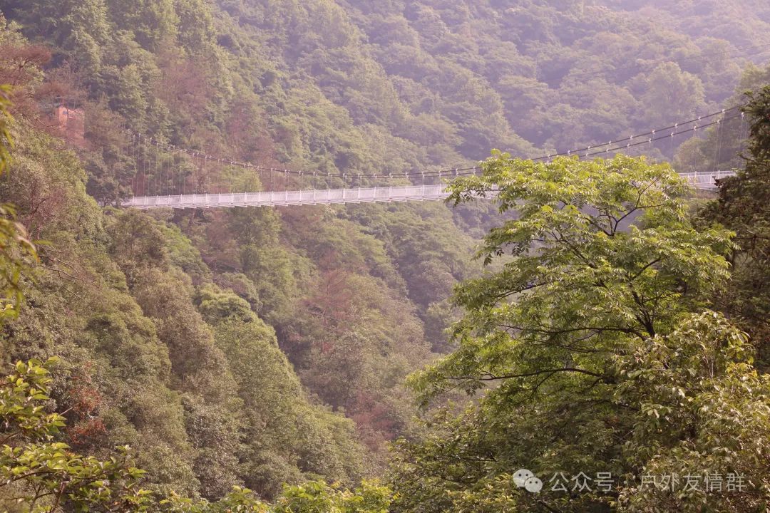 富硒茶什么人不能喝了（富硒茶的禁忌）-硒宝网