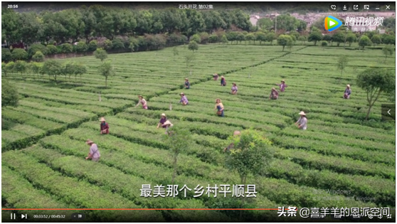 平利县富硒茶直播基地(富硒茶之乡)-硒宝网