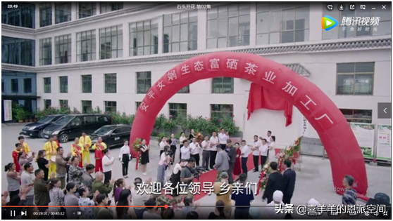 平利县富硒茶直播基地(富硒茶之乡)-硒宝网