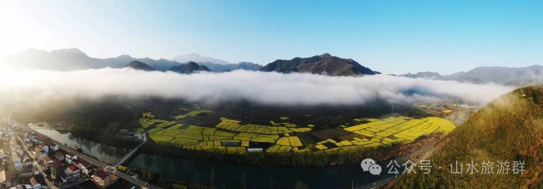 富硒茶什么人不能喝了（喝富硒茶可以提高免疫力吗）-硒宝网