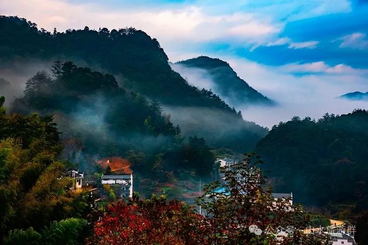 富硒茶什么人不能喝了（喝富硒茶可以提高免疫力吗）-硒宝网