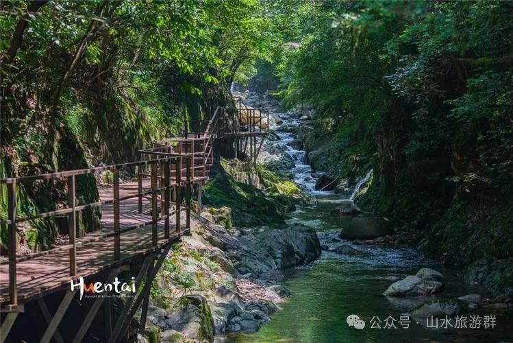 富硒茶什么人不能喝了（喝富硒茶可以提高免疫力吗）-硒宝网