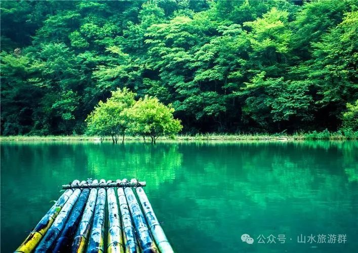 富硒茶什么人不能喝了（喝富硒茶可以提高免疫力吗）-硒宝网