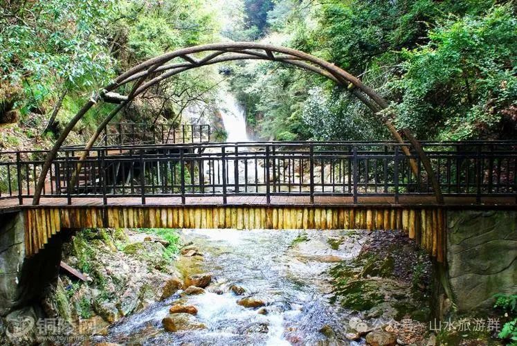 富硒茶什么人不能喝了（喝富硒茶可以提高免疫力吗）-硒宝网