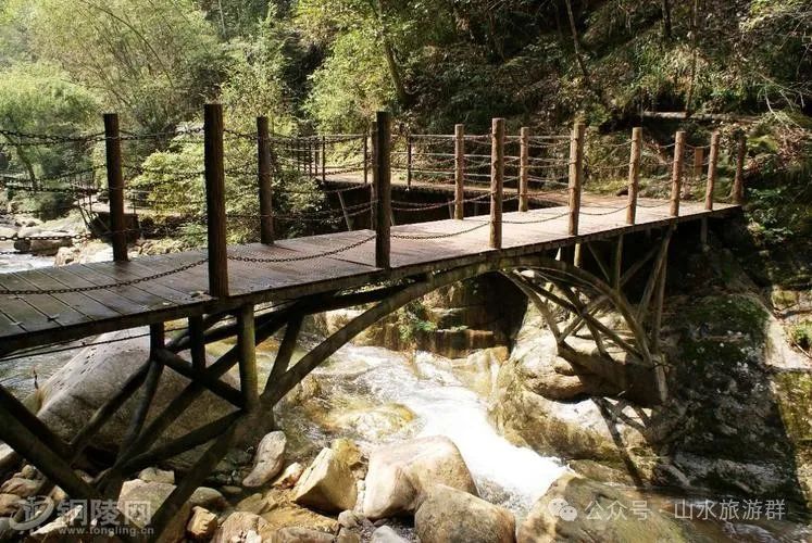 富硒茶什么人不能喝了（喝富硒茶可以提高免疫力吗）-硒宝网