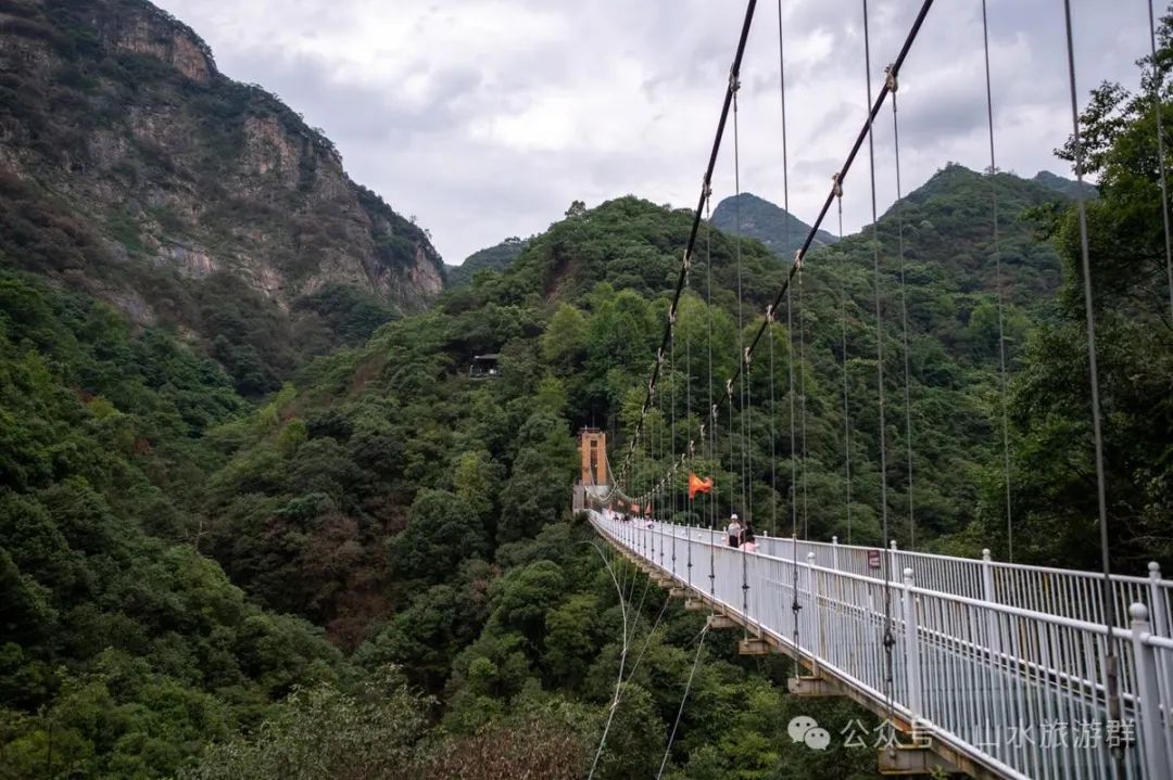 富硒茶什么人不能喝了（喝富硒茶可以提高免疫力吗）-硒宝网