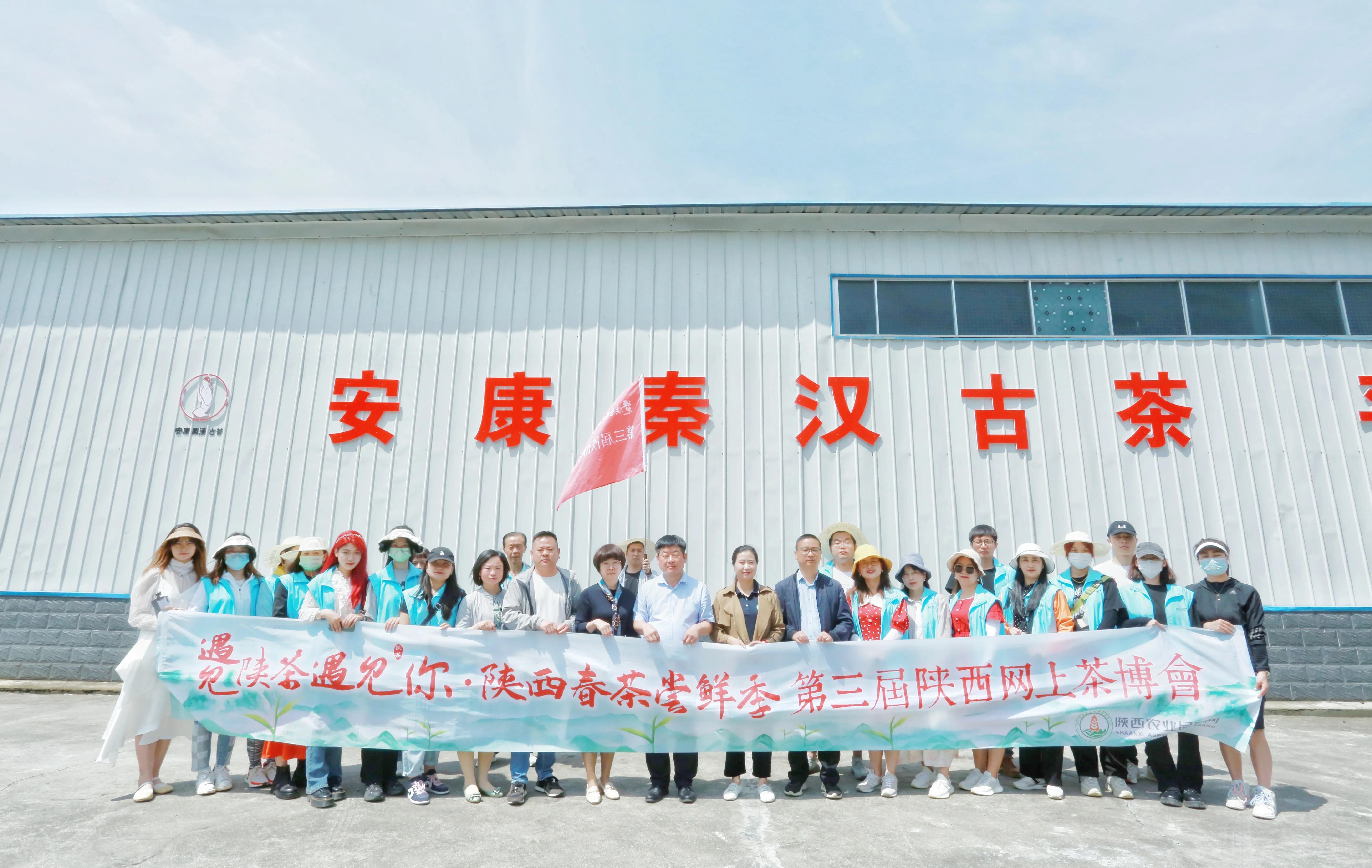 平利县富硒茶直播基地（富硒茶庄）-硒宝网