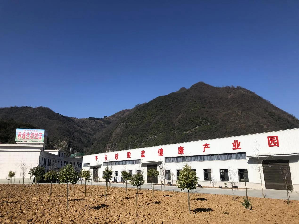 平利县富硒茶直播基地（富硒茶庄）-硒宝网