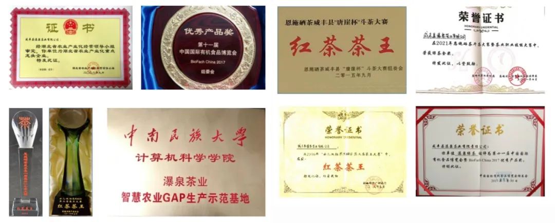 高质量恩施富硒茶地址(恩施的茶叶是富硒茶吗)-硒宝网