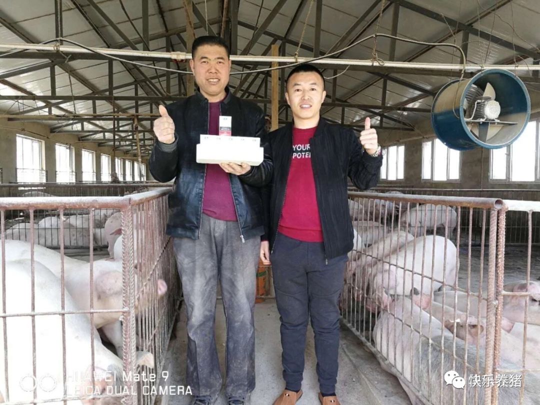 如何补铁效果最好(补铁的最佳药)-硒宝网