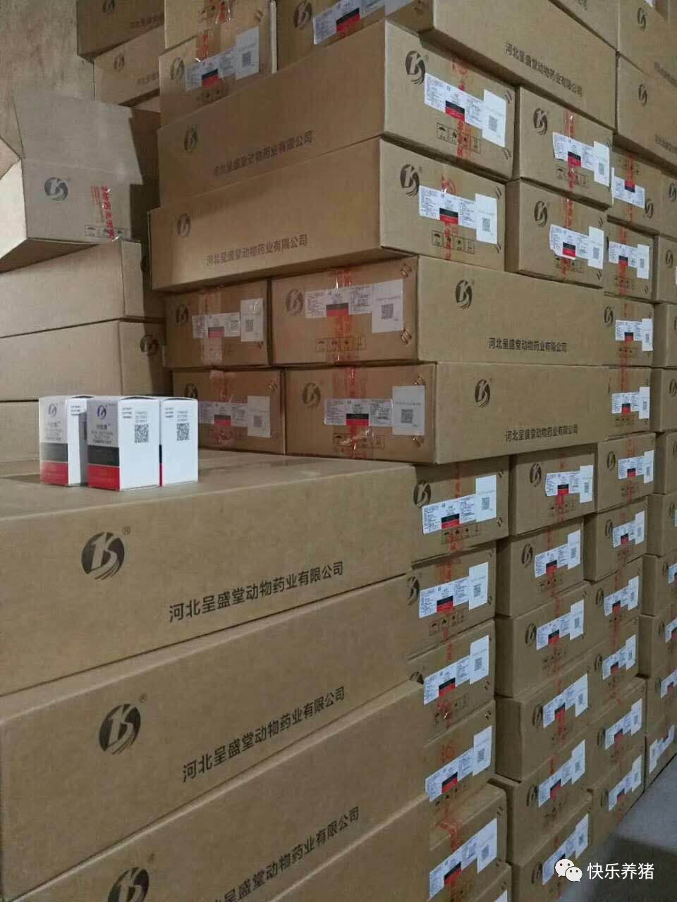 如何补铁效果最好(补铁的最佳药)-硒宝网