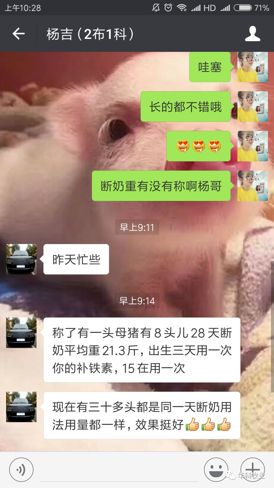 如何补铁效果最好(补铁的最佳药)-硒宝网