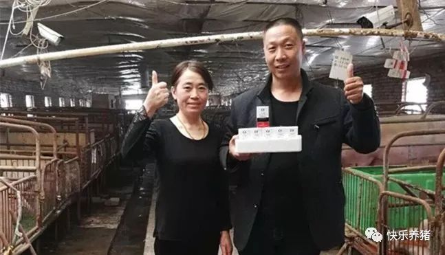 如何补铁效果最好(补铁的最佳药)-硒宝网