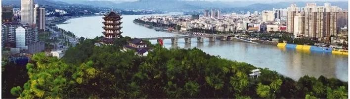 安康市富硒茶发展困境(安康富硒茶地理标志)-硒宝网