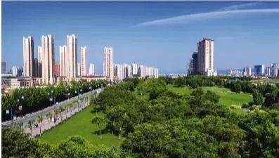 安康市富硒茶发展困境(安康富硒茶地理标志)-硒宝网