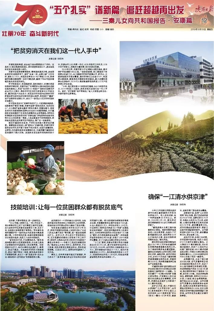 安康市富硒茶发展困境(安康富硒茶地理标志)-硒宝网